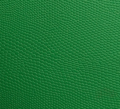 蛇皮紋羽毛球場 蛇皮紋羽毛球場